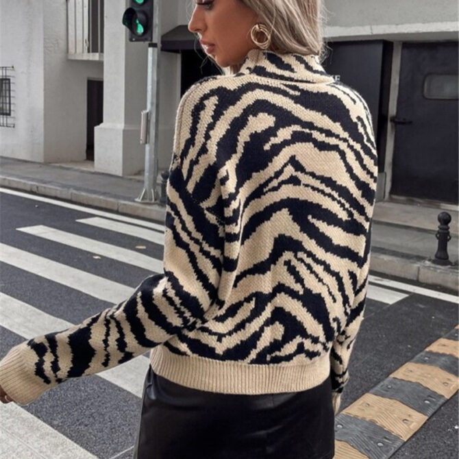 Pullover Zebra Pattern Sweater - Image 2
